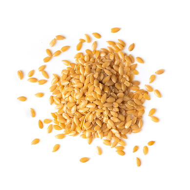 Protein