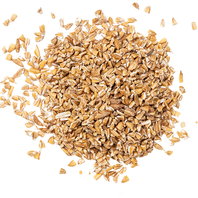 Protein