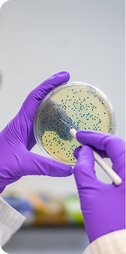 Functional Testing for Gut Health and Allergies