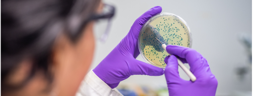Functional Testing for Gut Health and Allergies