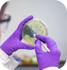 Functional Testing for Gut Health & Allergies